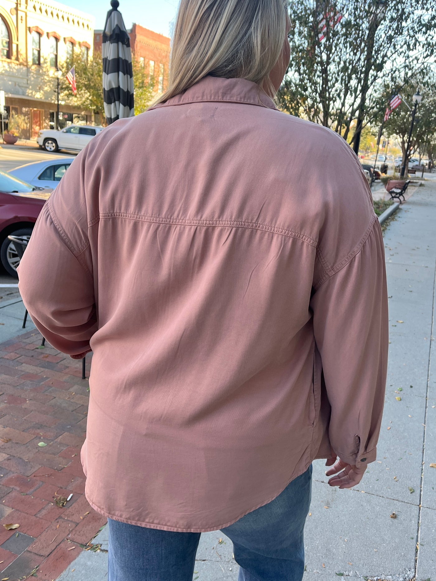 Mauve Chambray